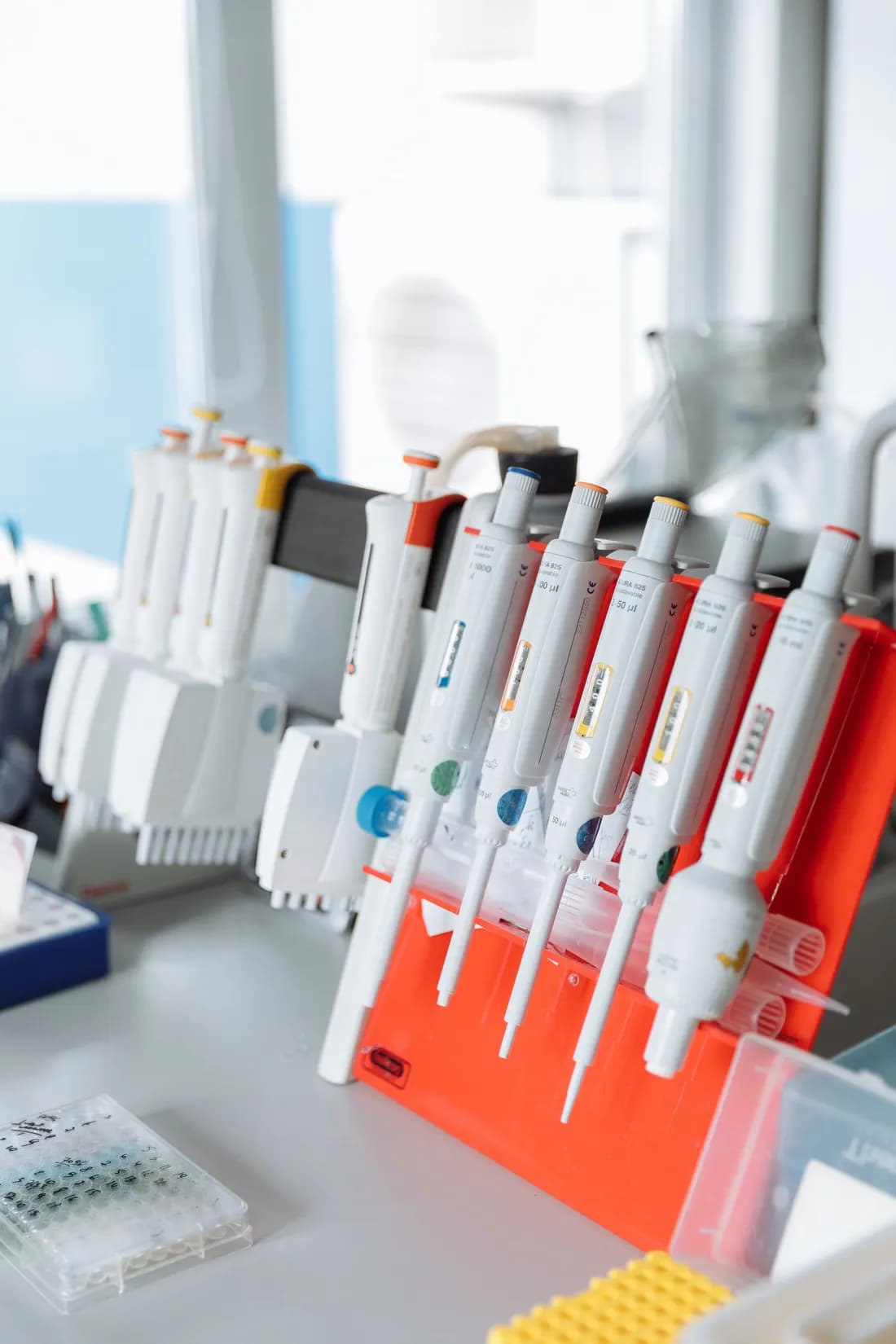 Rack of micropipettes on a laboratory bench