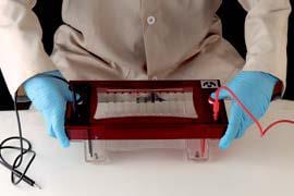 ABDOS Midi Horizontal Electrophoresis System